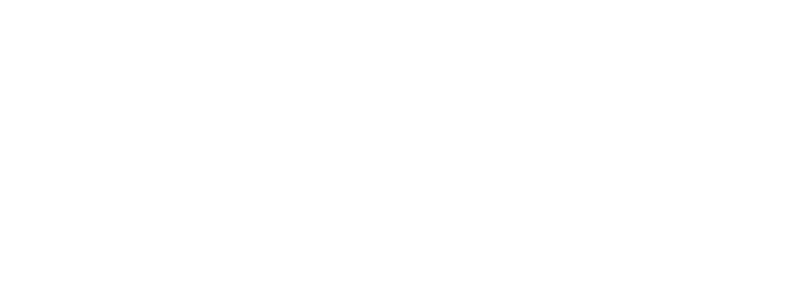 salun